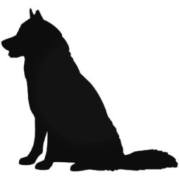 Buy Siberian Husky Dog 2 Vinyl Decal Sticker Online