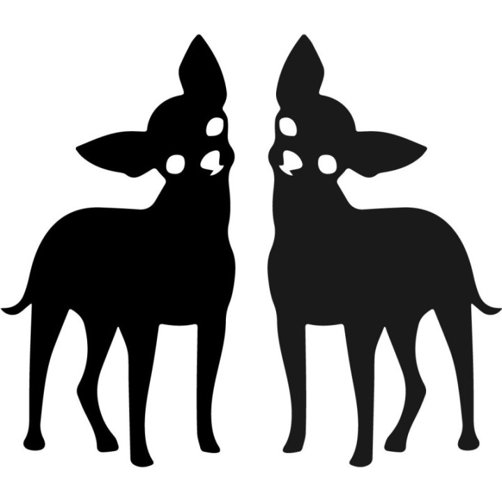 Buy Chihuahua Curious Dog Online