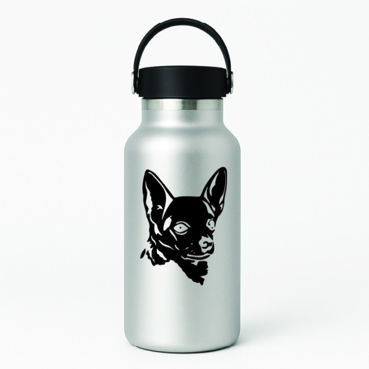 Buy Chihuahua Dog Face Online