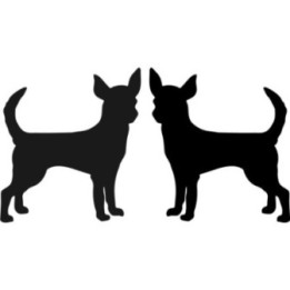 Buy Chihuahua Dog Online