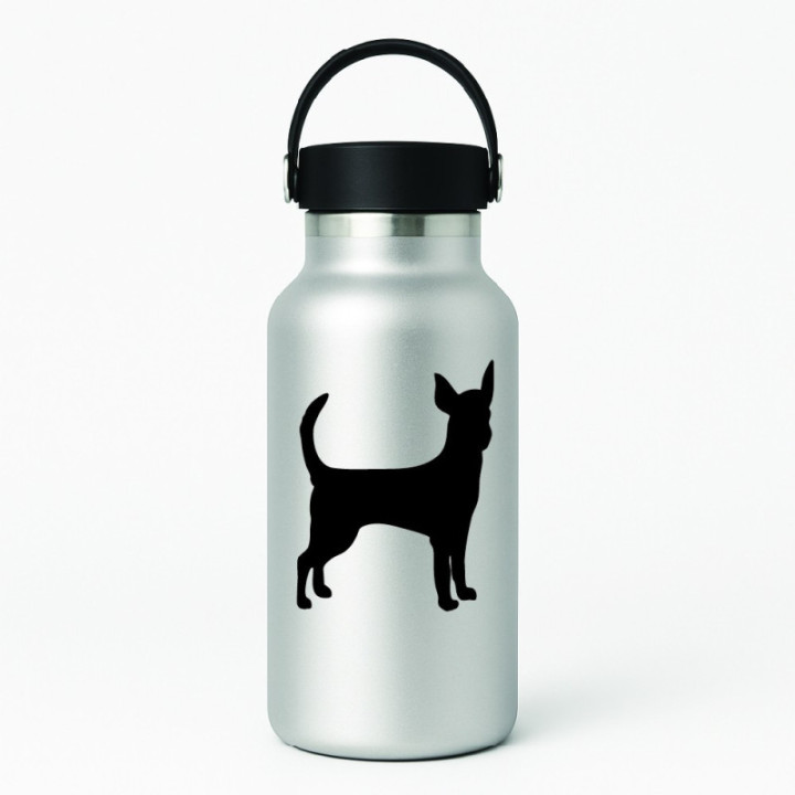 Buy Chihuahua Dog Online