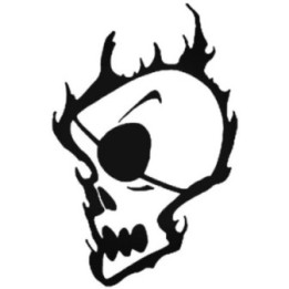 Flaming Skull Stickers – Fire Skull Biker Decals (2-Pack)