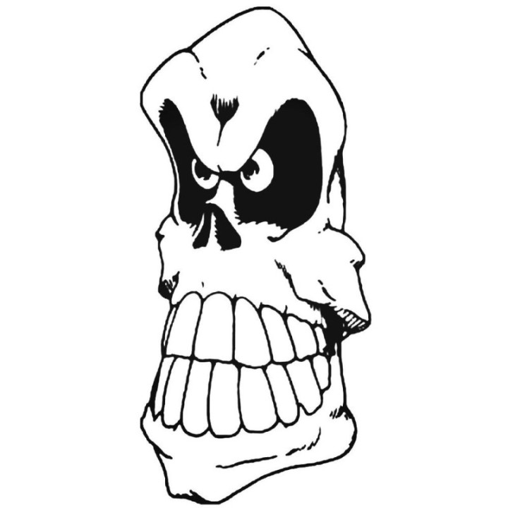 Angry Skull Stickers – Gothic Skull Vinyl Decals (2-Pack)