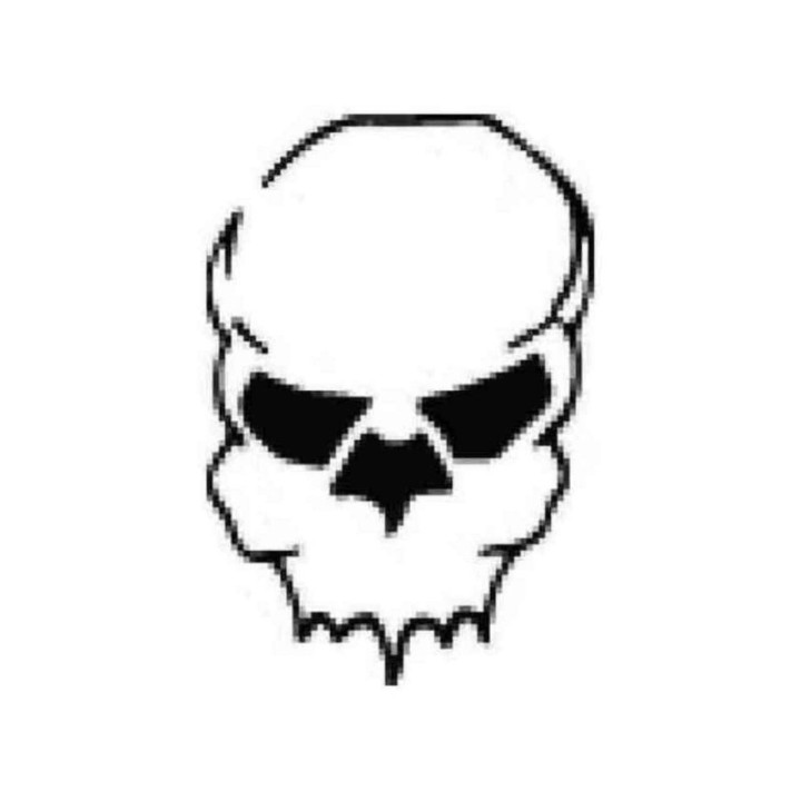 Evil Grin Skull Stickers – Gothic Vinyl Decals (2-Pack)