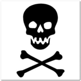 Skull and Crossbones Stickers – Jolly Roger Decals (2-Pack)
