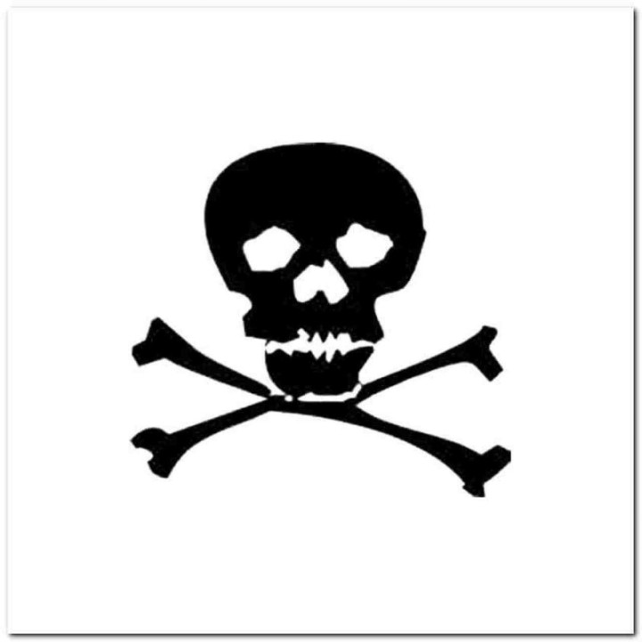 Skull and Crossbones Stickers – Jolly Roger Decals (2-Pack)