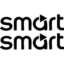 Smart Car Stickers – Compact City Car Logo Decals (2-Pack)