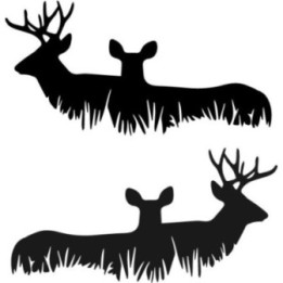Buy Deer Family Wildlfie Online