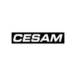 Buy Stickers Cesam Logo Vinyl Decal Sticker Online