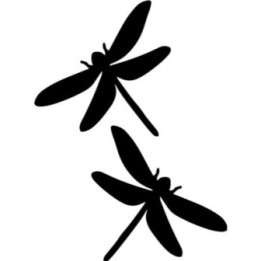 Buy Dragonfly Wildlfie Online