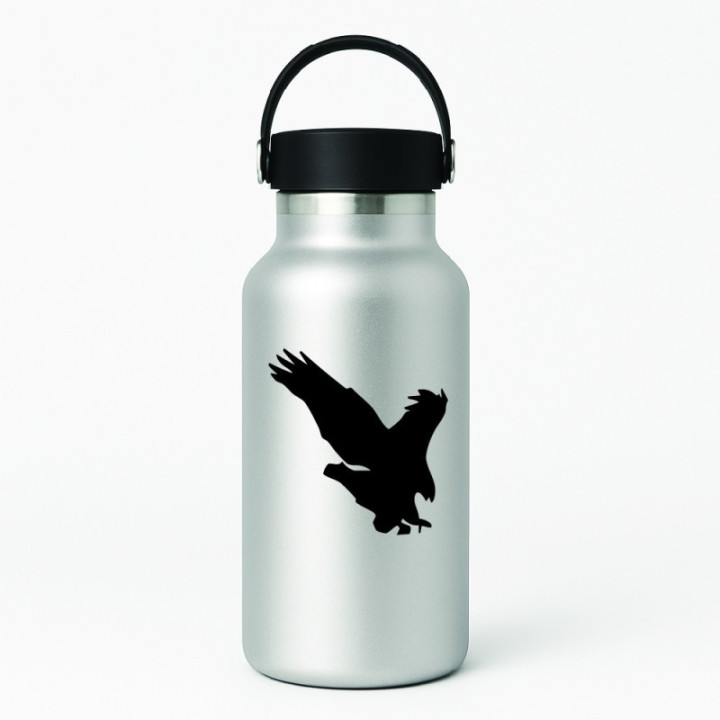 Buy Eagle Hawk Falcon Bird Online