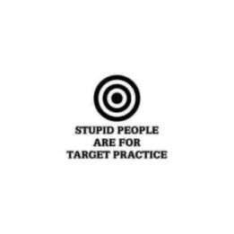 Stupid People Are For Target Practice Stickers (2-Pack)
