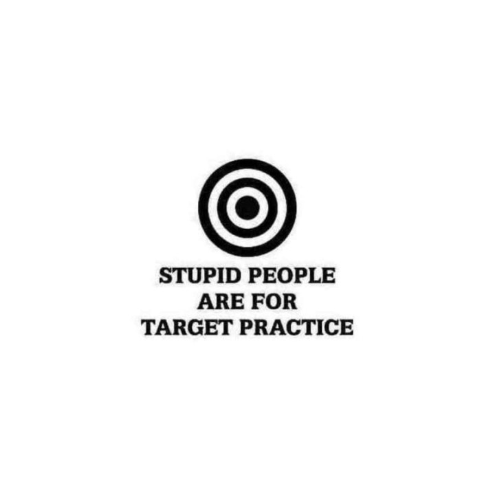 Stupid People Are For Target Practice Stickers (2-Pack)
