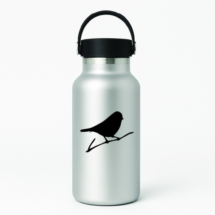 Buy Finch Songbird Wildlfie Online