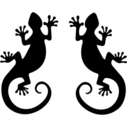 Gecko Lizard Stickers – Wildlife Reptile Vinyl Decals (2-Pack)