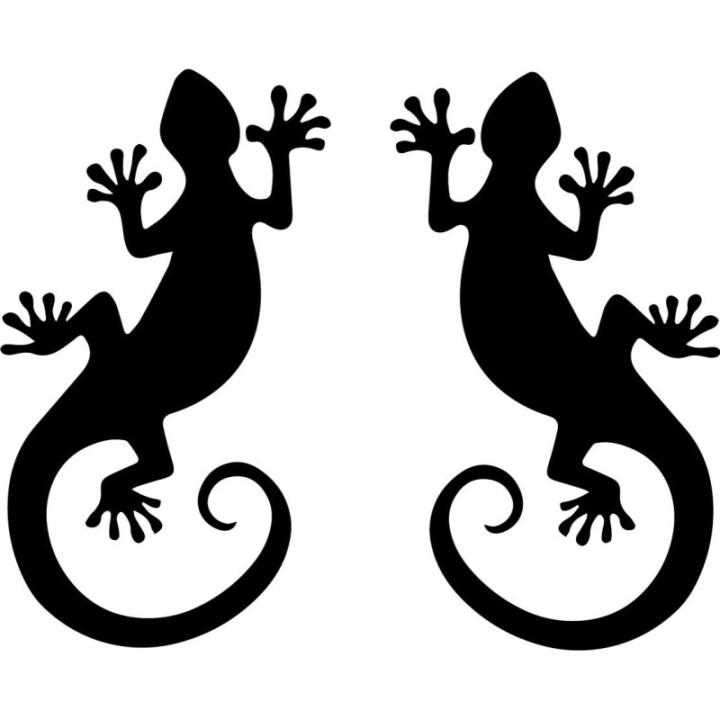 Gecko Lizard Stickers – Wildlife Reptile Vinyl Decals (2-Pack)