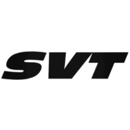 Buy Svt Graphic Decal Sticker Online