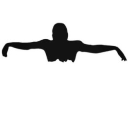 Buy Swimming Batterfly Decal Sticker Online