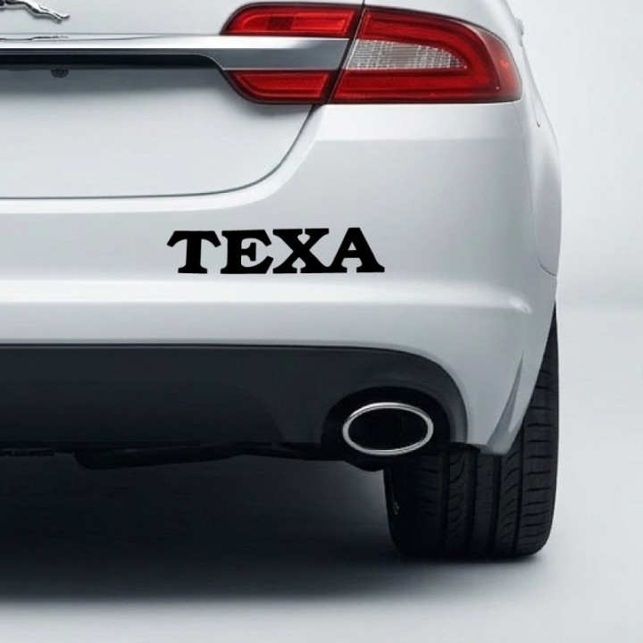 Texa Diagnostics Stickers – Axone Workshop Decals (2-Pack)