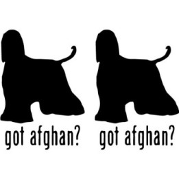 Buy Got Afghan Hound Dog Online