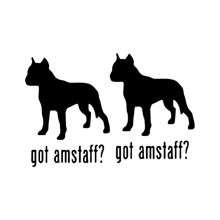 Buy Got Amstaff Terrier Dog Online