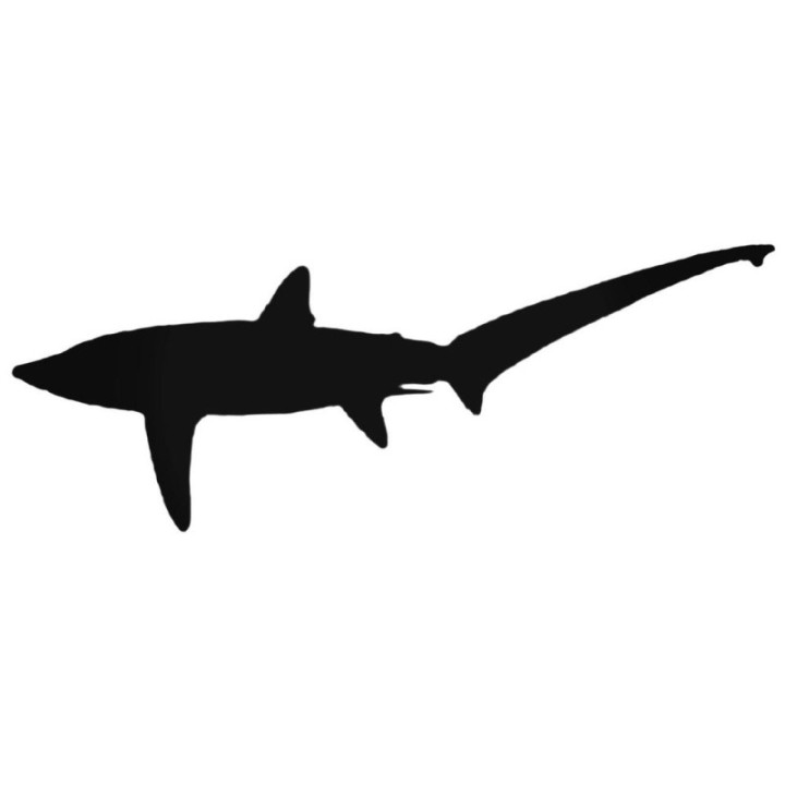 Thresher Shark Stickers – Ocean Wildlife Decals (2-Pack)