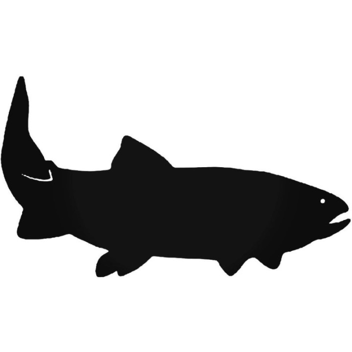 Buy Throat Trout Fish Vinyl Decal Sticker Online