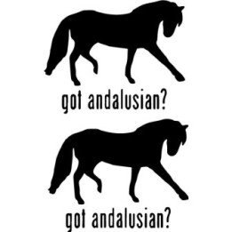 Buy Got Andalusian Horse Online