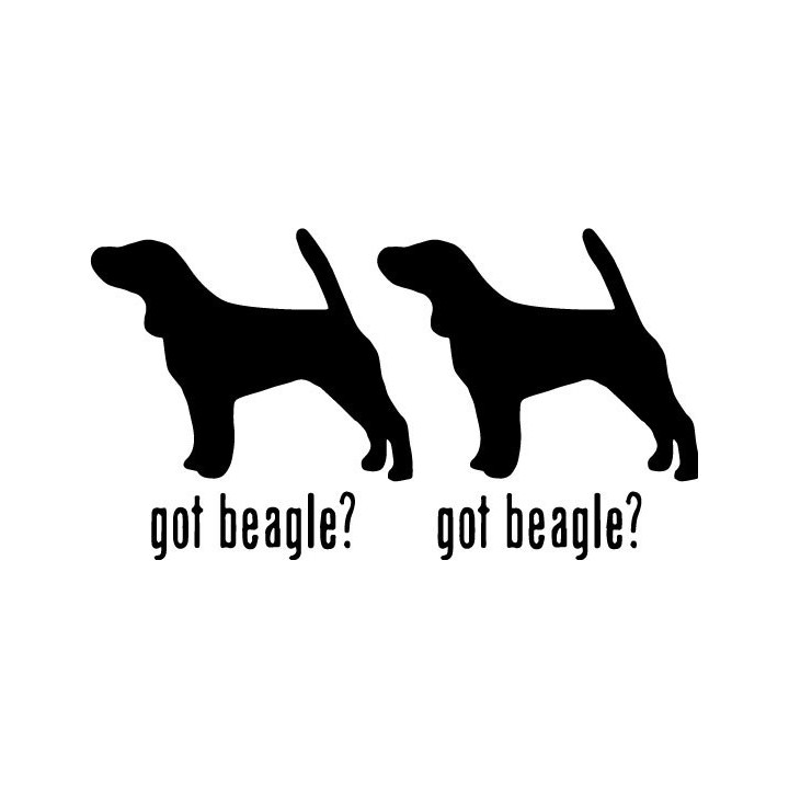 Buy Got Beagle Hound Dog Online