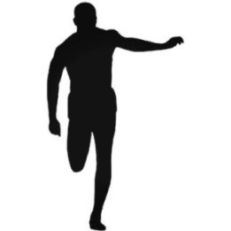 Buy Track And Field 2 Vinyl Decal Sticker Online