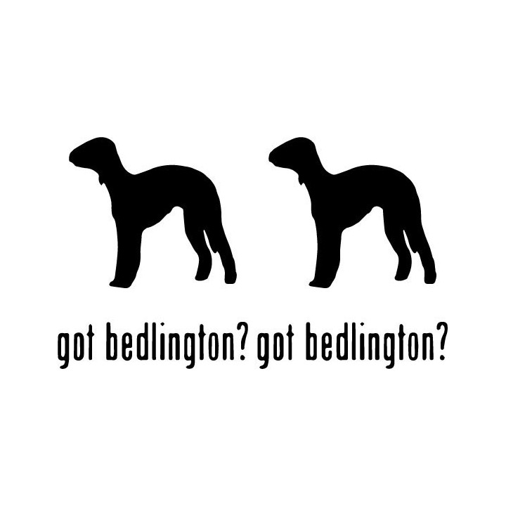 Buy Got Bedlington Terrier Dog Online