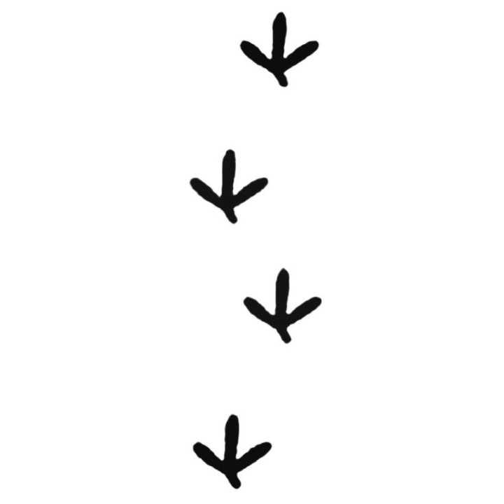Buy Turkey Tracks Decal Sticker Online