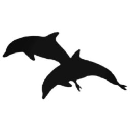 Jumping Dolphins Stickers – Ocean Silhouette Decals (2-Pack)