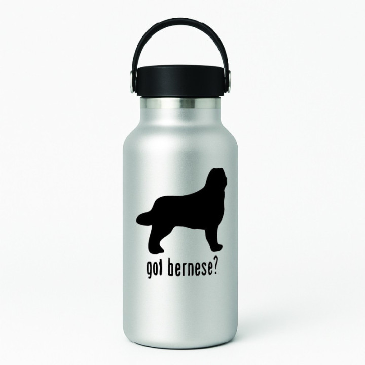 Buy Got Bernese Mountain Dog Online