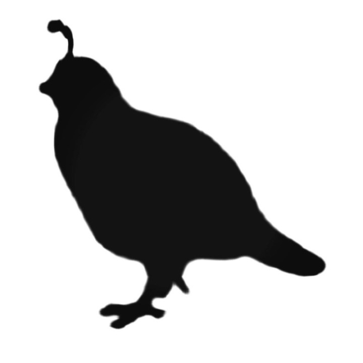 Buy Upland Game S Style 436 Decal Sticker Online