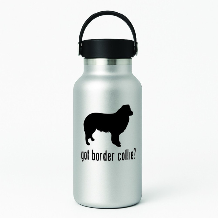 Buy Got Border Collie Dog Online