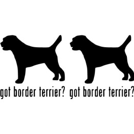 Buy Got Border Terrier Dog Online