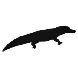 Buy Violent Alligator Decal Sticker Online