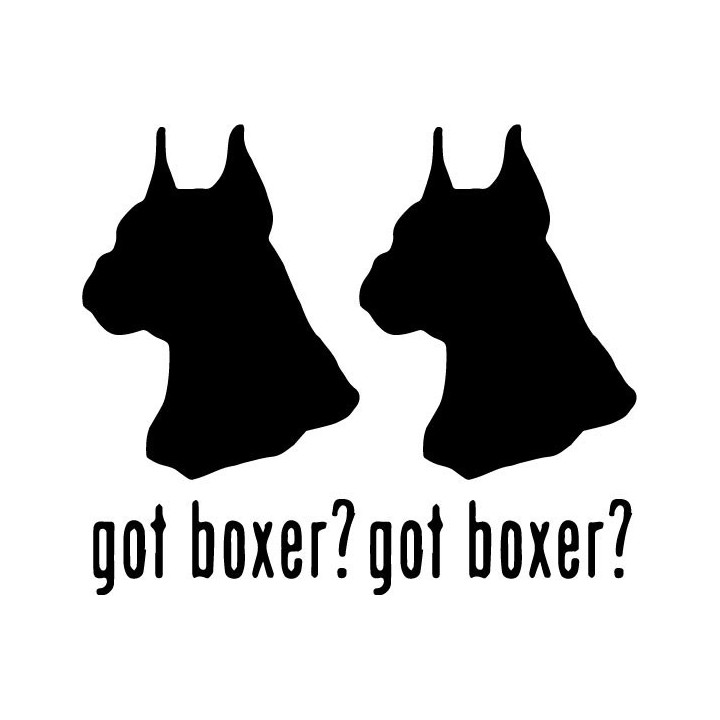 Buy Got Boxer Dog Online