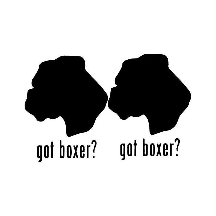 Buy Got Boxer Uncropped Dog Online
