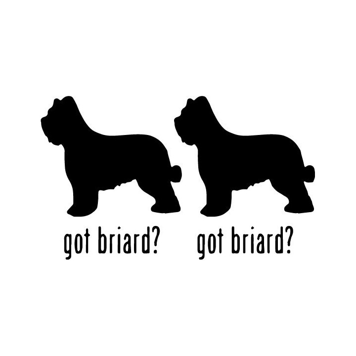 Buy Got Briard Dog Online