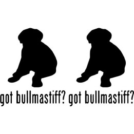 Buy Got Bullmastiff Puppy Dog Online