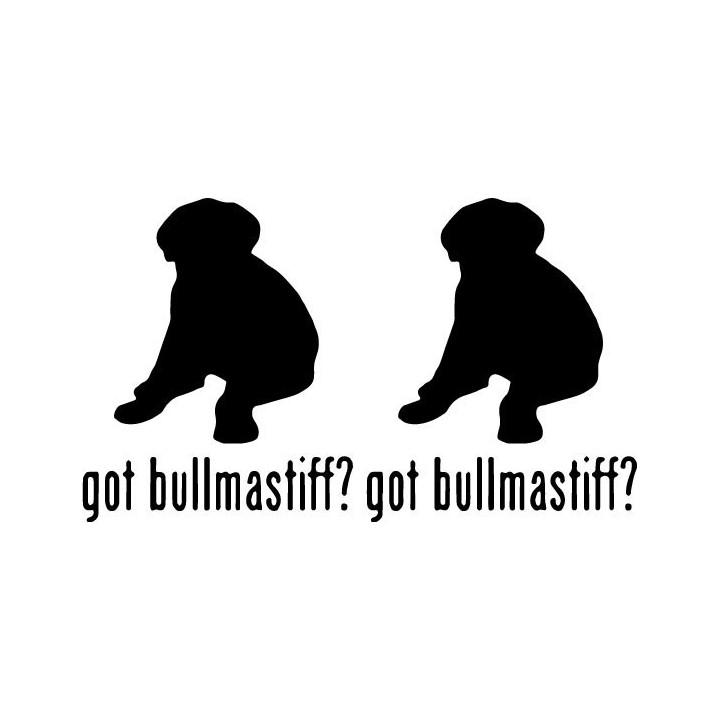 Buy Got Bullmastiff Puppy Dog Online