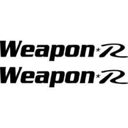 Buy Weapon R 3 Graphic Decal Sticker Online
