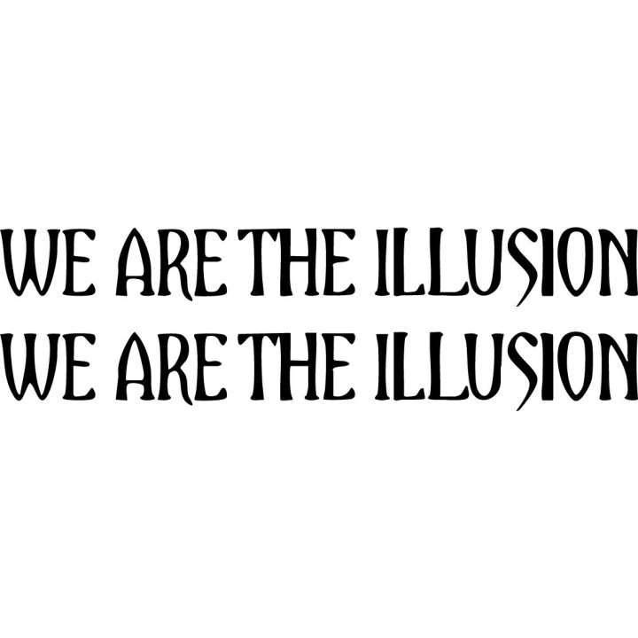 We Are The Illusion Stickers – Band Slogan Decals (2-Pack)