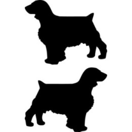 Buy Welsh Springer Spaniel Dog Vinyl Decal Sticker Online