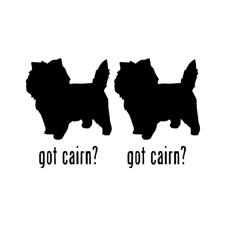Buy Got Cairn Terrier Dog Online