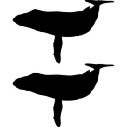 Humpback Whale Stickers – Ocean Wildlife Decals (2-Pack)