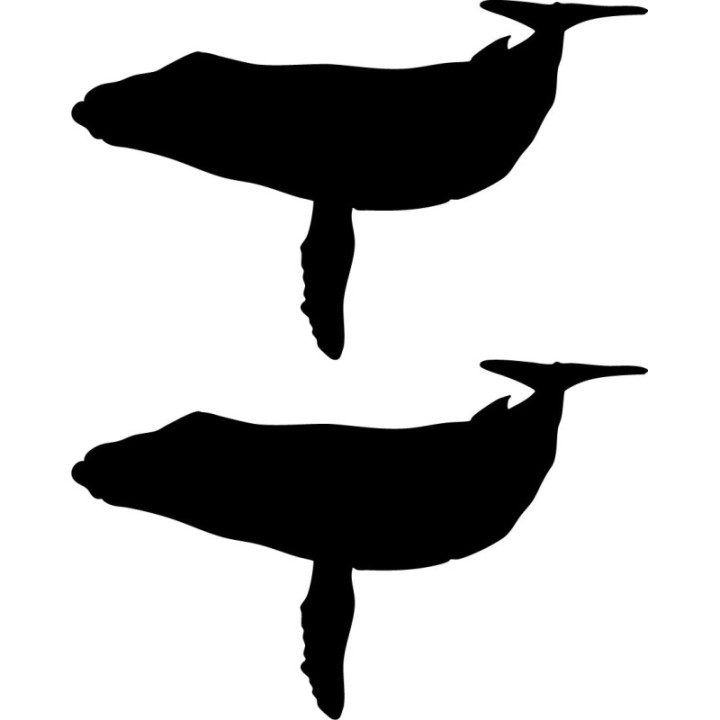Humpback Whale Stickers – Ocean Wildlife Decals (2-Pack)
