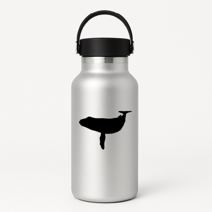 Humpback Whale Stickers – Ocean Wildlife Decals (2-Pack)